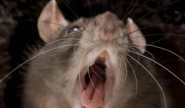 src-TVRZNMTY4OTgxMTg3NAaHR0cHM6Ly9wMy5pdGMuY24vaW1hZ2VzMDEvMjAyMTA2MDMvYzFkNjE1YmE1MWVkNDBkODhmZTMyNGY4N2JiZTg1ODUuanBlZw==.jpg