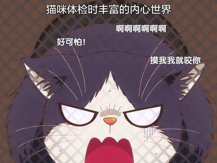 坏蛋猫搜索_坏蛋游戏解说百家号_经济猫打坏蛋游戏