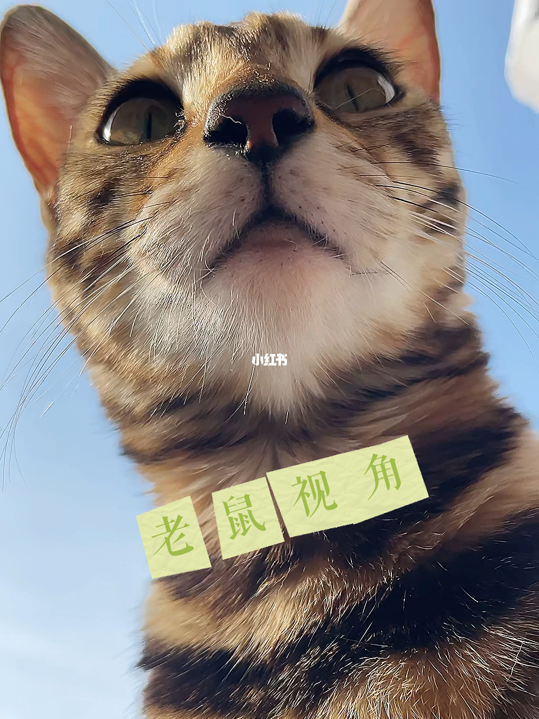 密室大逃脱四角游戏_逐角游戏萧渺_四角游戏