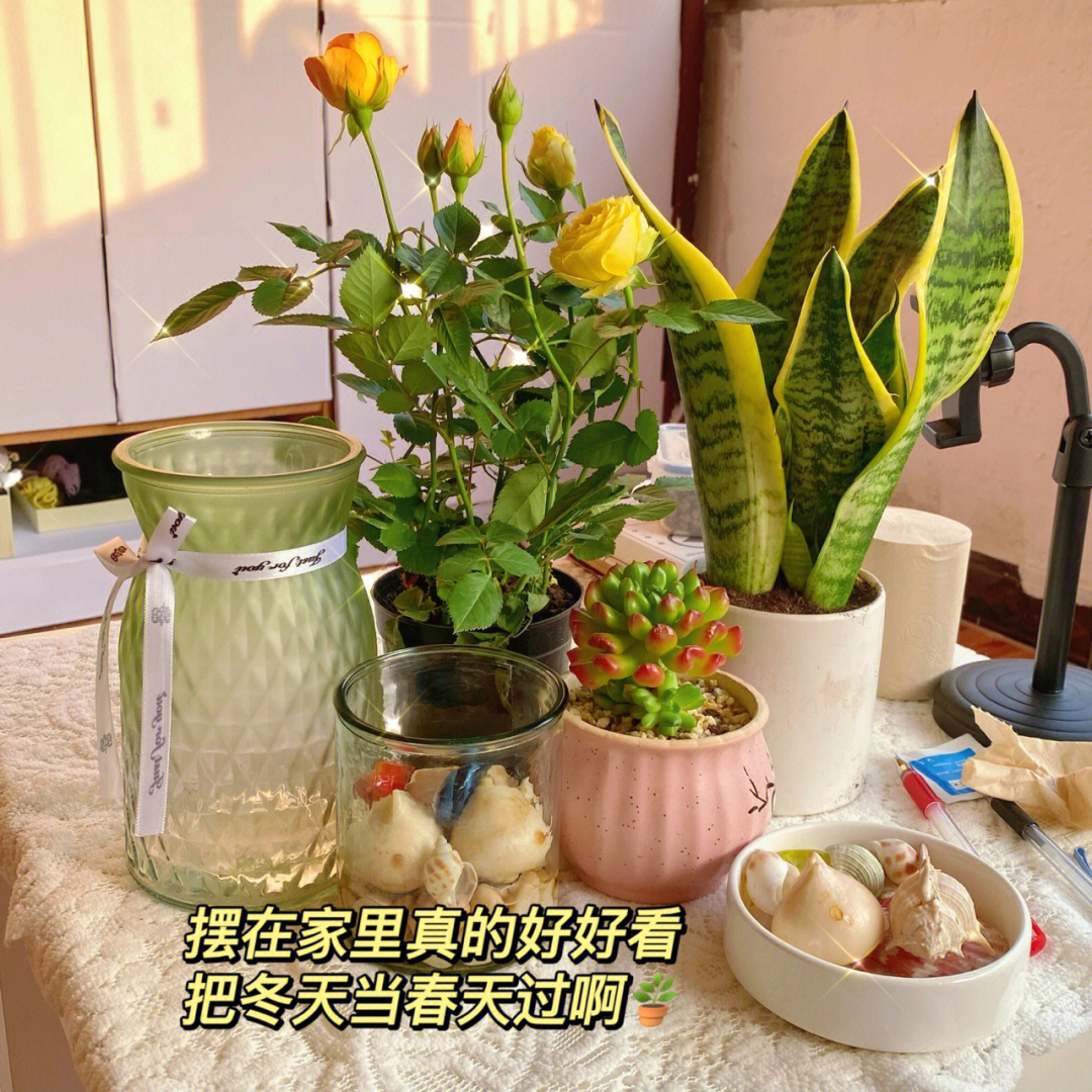 找你妹夫游戏攻略_攻略妹子的游戏视频大全_攻略妹子的游戏叫什么