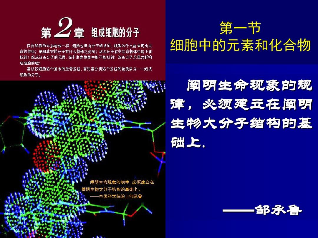 biu-细胞系_细胞系标记物_细胞系编号