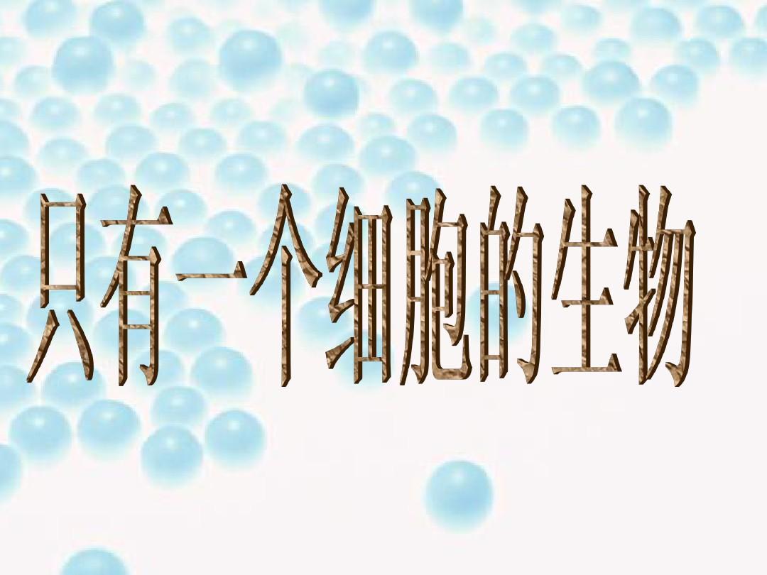 细胞系编号_细胞系标记物_biu-细胞系