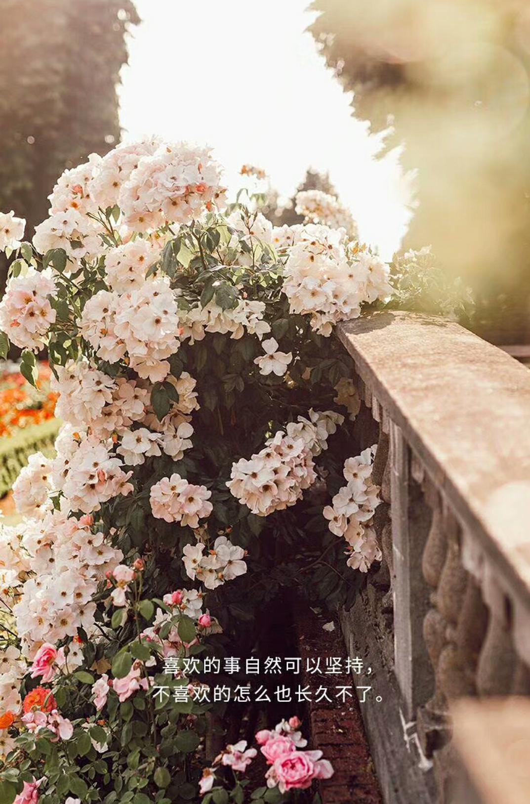 有些人别拿他当做游戏_有些人拿他当做游戏_把游戏当职业的人