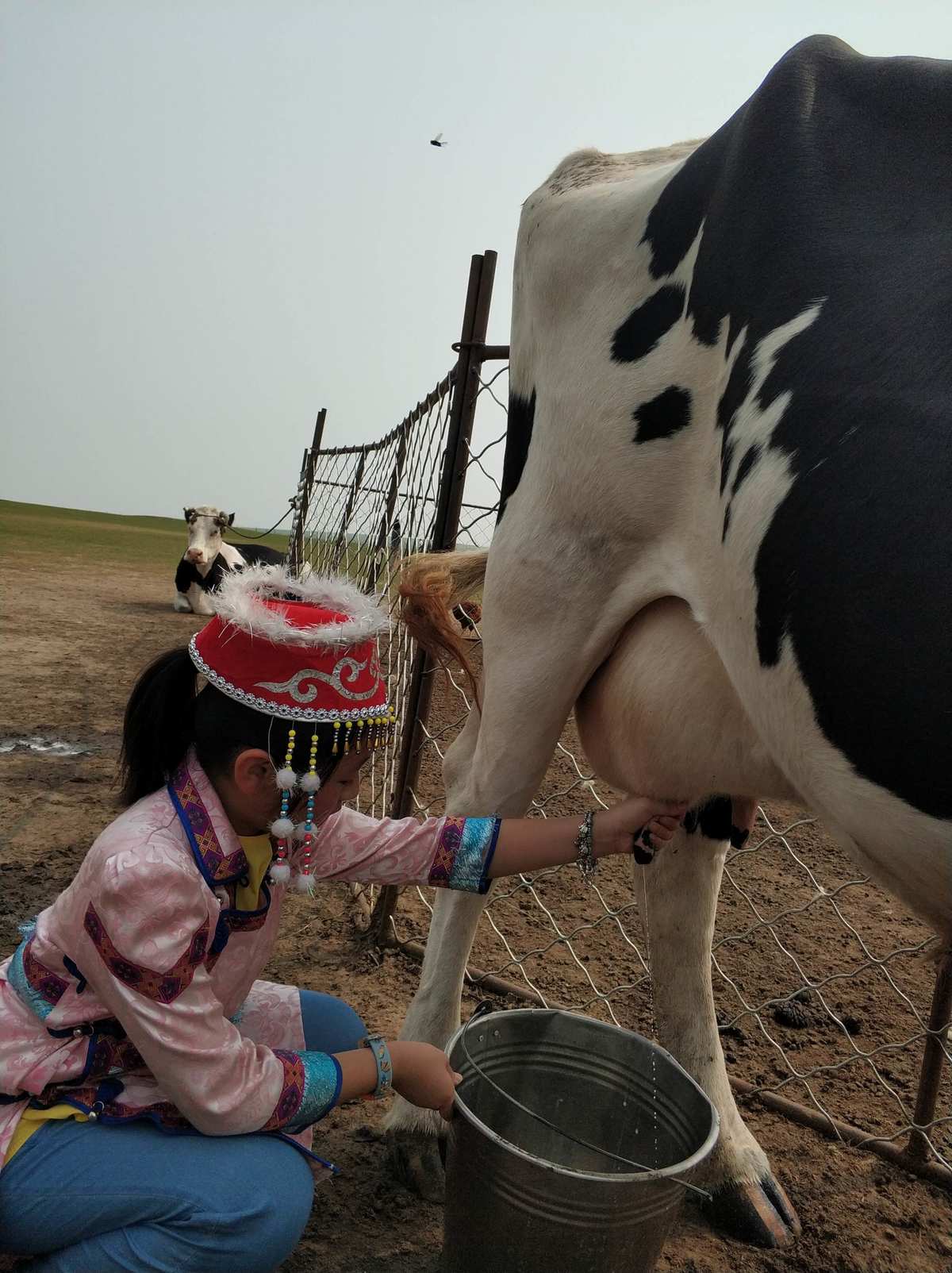 男生挤牛奶什么意思_男生给美女挤奶_男生美女挤奶图片