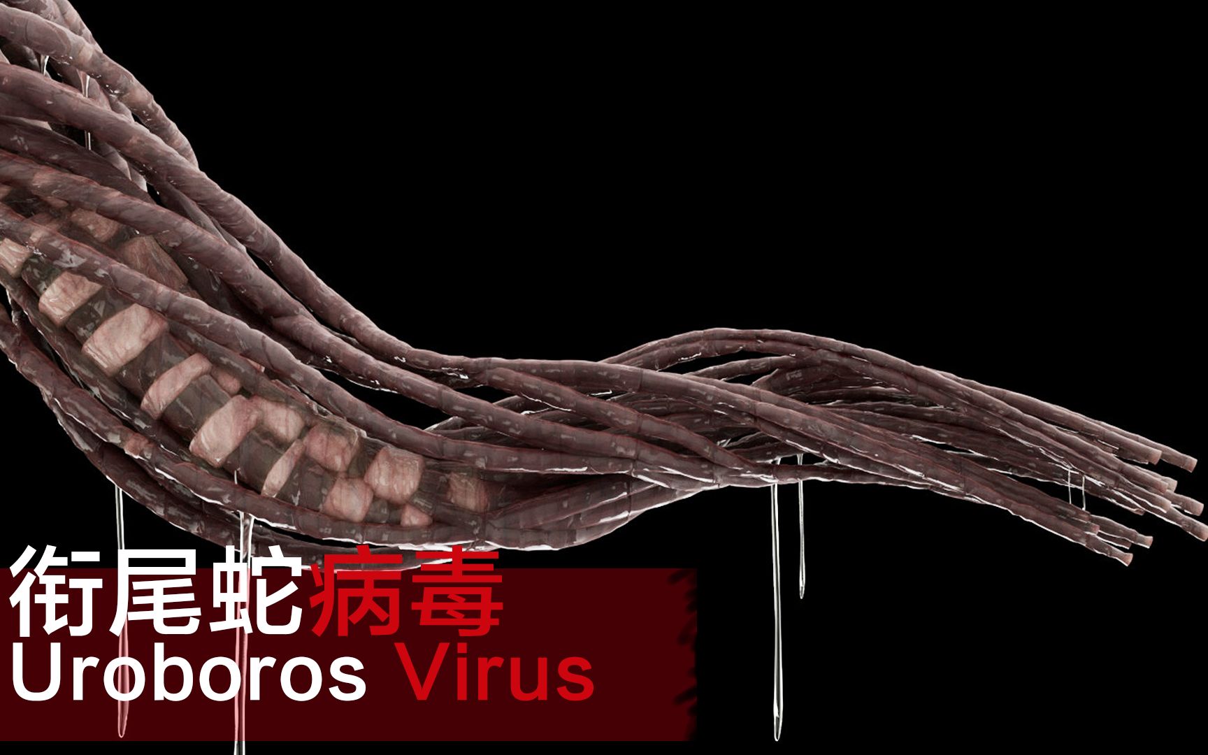 衔尾蛇病毒实验体_衔尾蛇病毒_衔尾蛇病毒威斯克