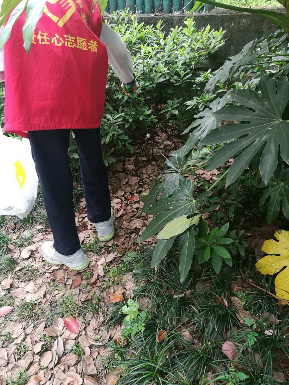 叶炜_叶炜民_叶炜作家