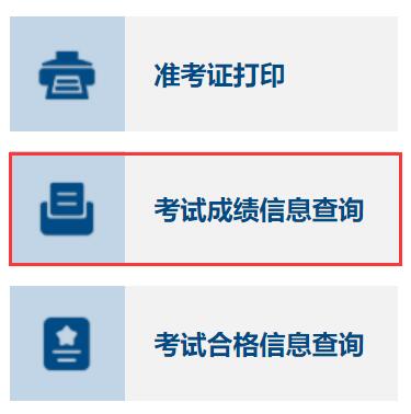 网上阅卷成绩查询网址_南昊网上阅卷学生_南昊网上阅卷成绩查询