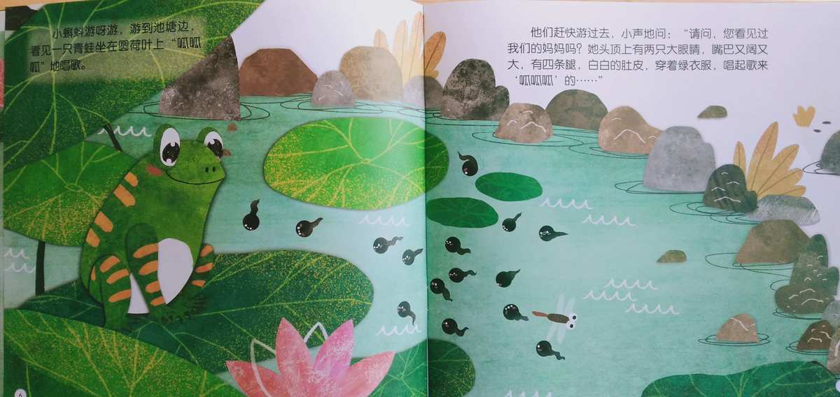 圆蝌蚪进化图_圆蝌蚪_圆蝌蚪几级进化