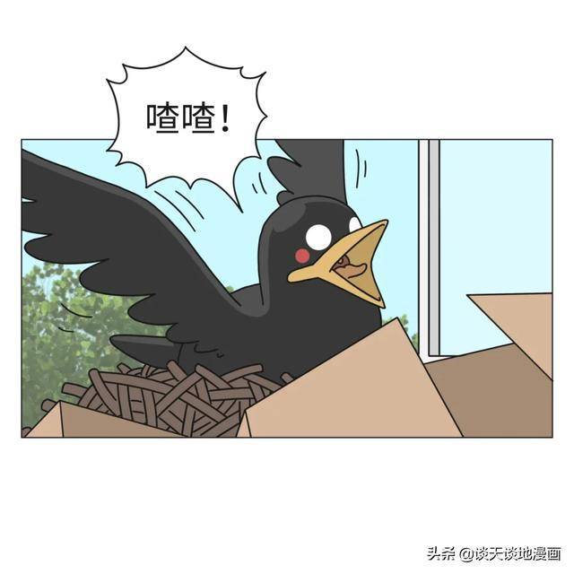 乌翼鸟漫画_乌翼鸟漫画_乌翼鸟漫画