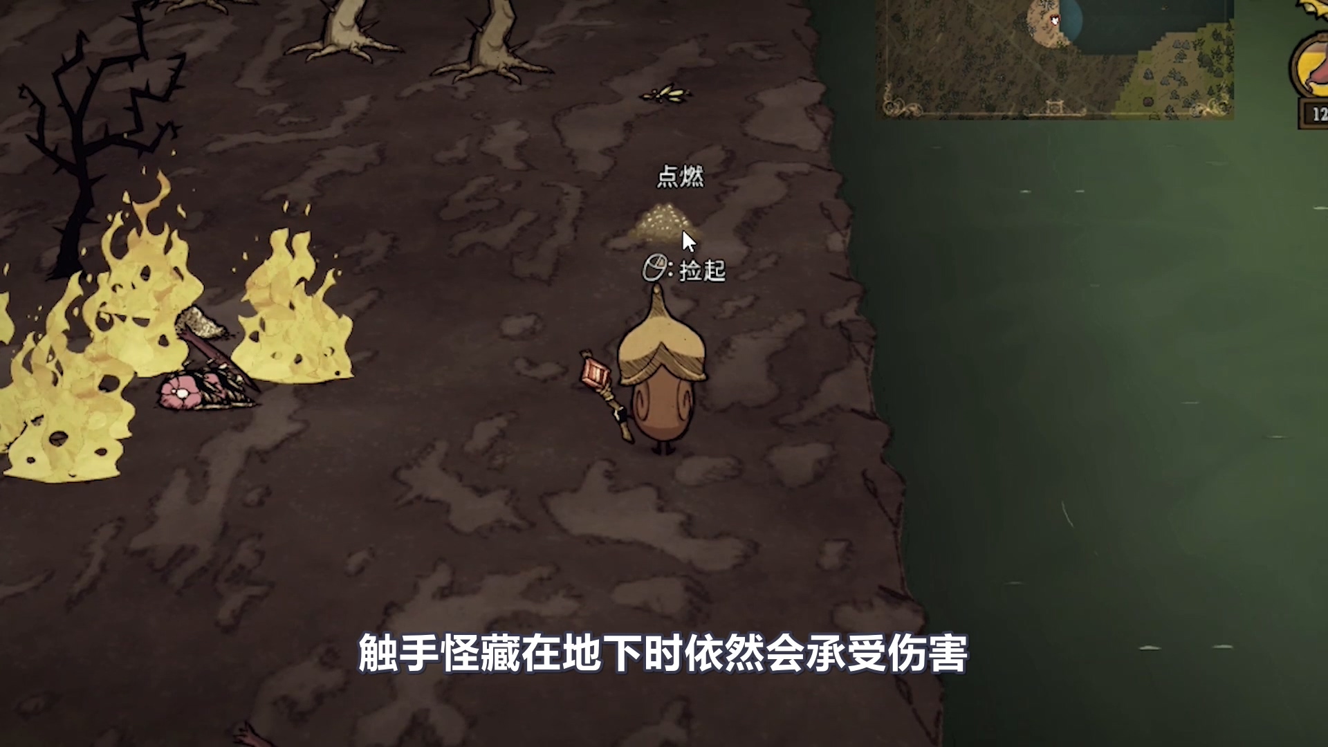 饥荒触手皮_饥荒触手皮_饥荒触手皮