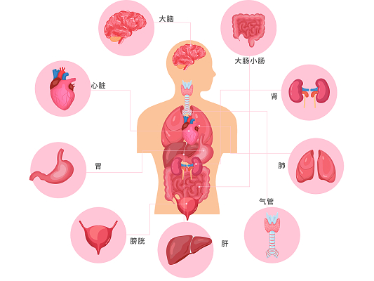 探索身体_探索身体的游戏_探索身体免费阅读下载