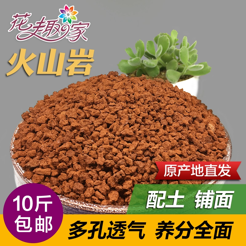原神烈焰花花蕊位置_烈焰花花蕊采集位置_原神手游烈焰花花蕊位置