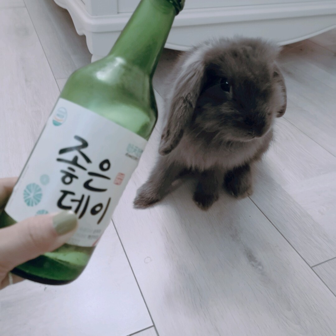 网络用语马猴烧酒是什么意思_烧酒马猴什么意思_马猴烧酒