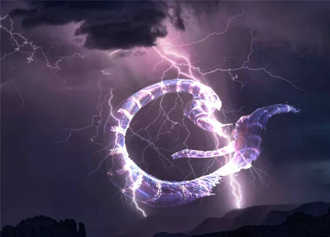 雷狼龙_雷狼龙_雷狼龙