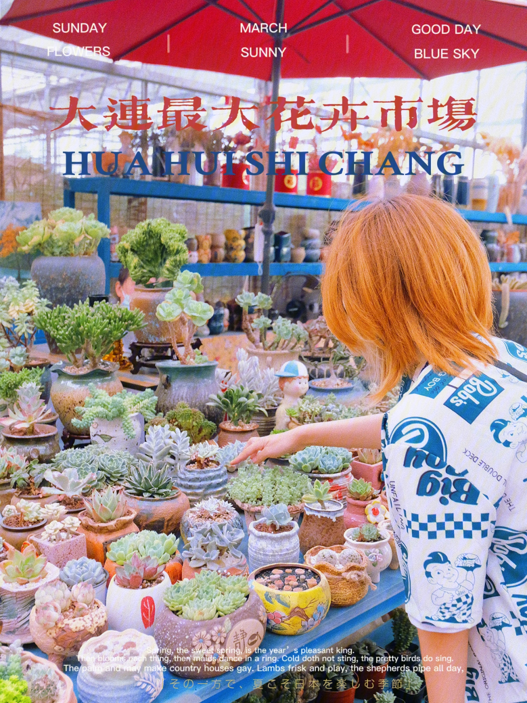 开箱大师_拆箱大师_拆解大师