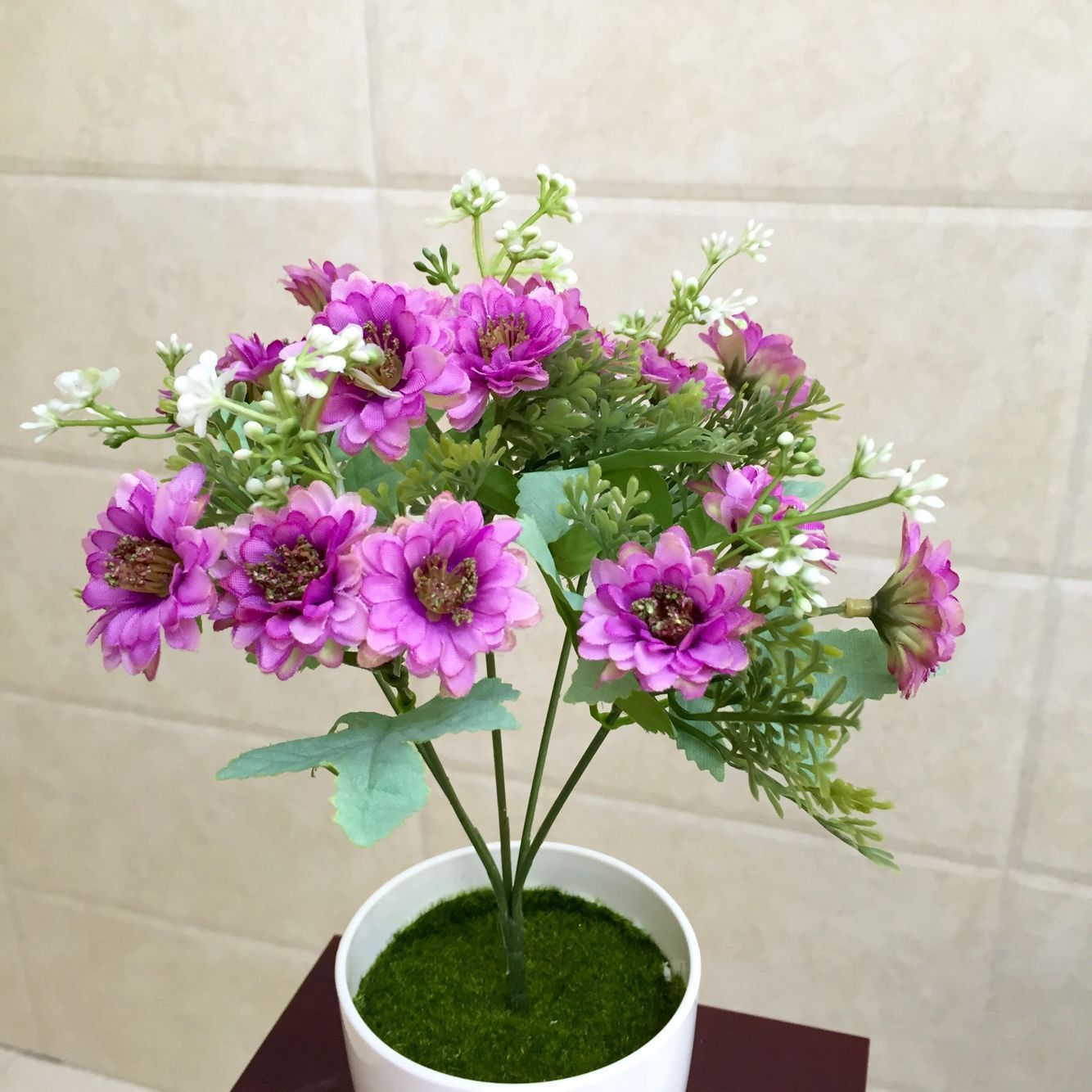 菊花宝典小说_山菊花小说下载_菊花小说