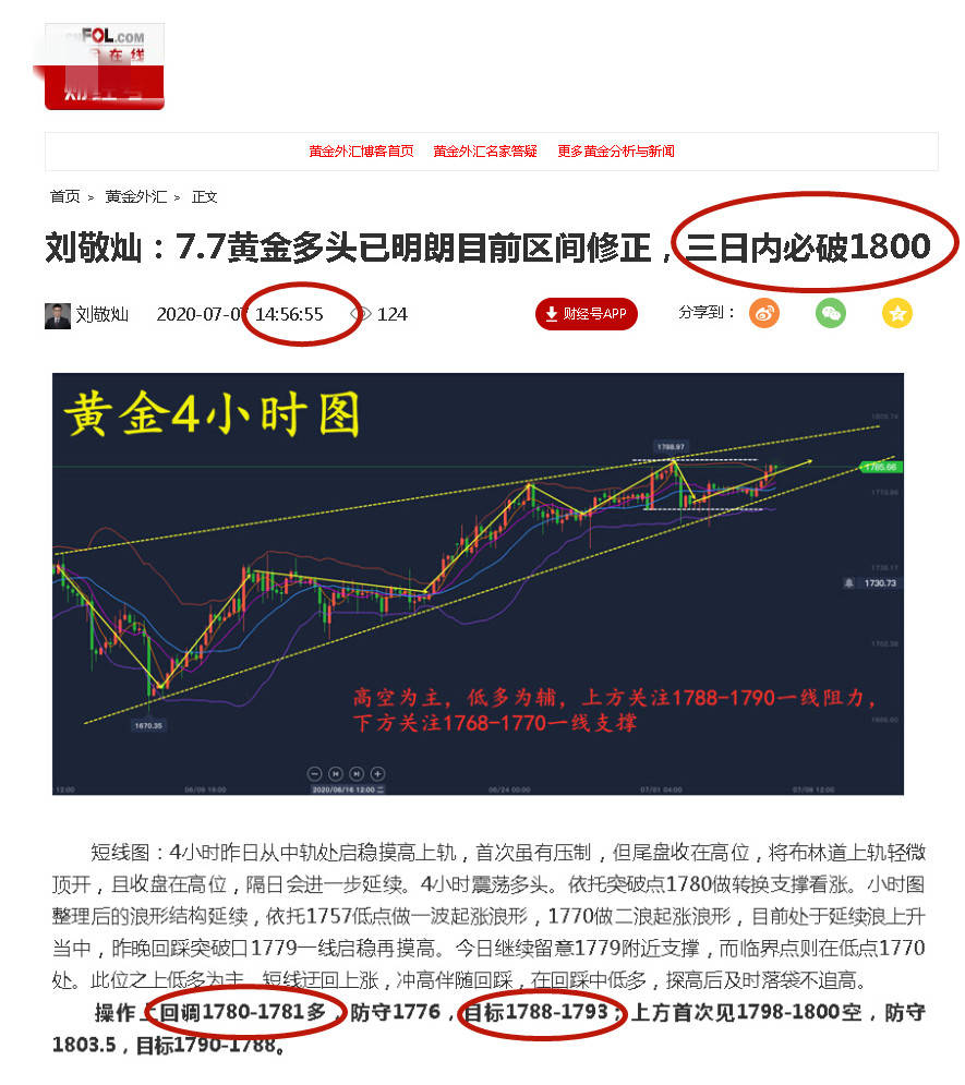 黄金球_黄金球的花语和寓意_黄金球花语