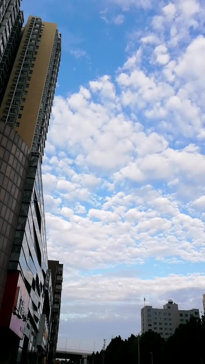 生命蓝灵_生命蓝灵为什么不能捕捉_生命蓝灵在哪里可以抓