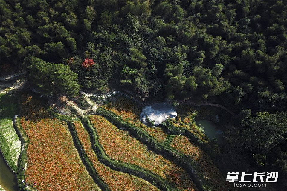 新城游北山记_北山家居_北山在哪