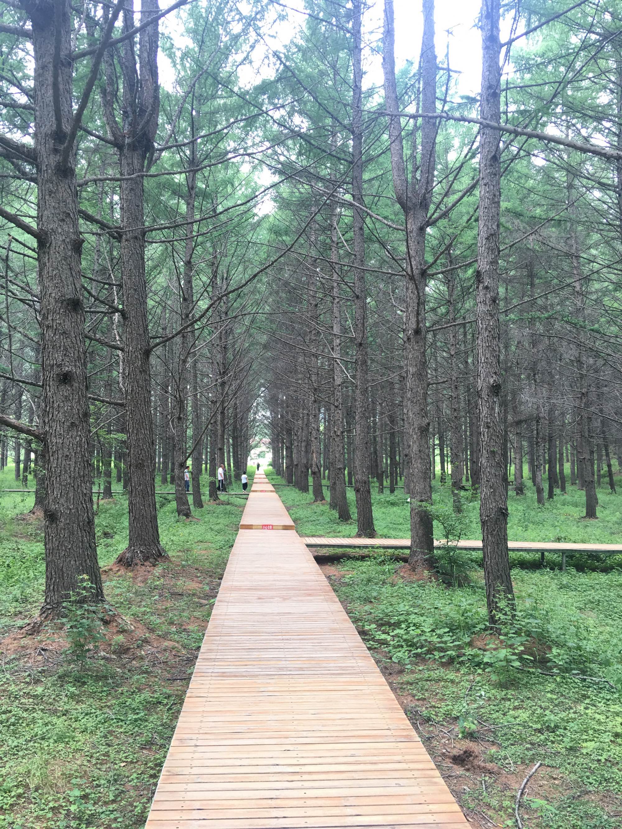 新城游北山记_北山在哪_北山家居