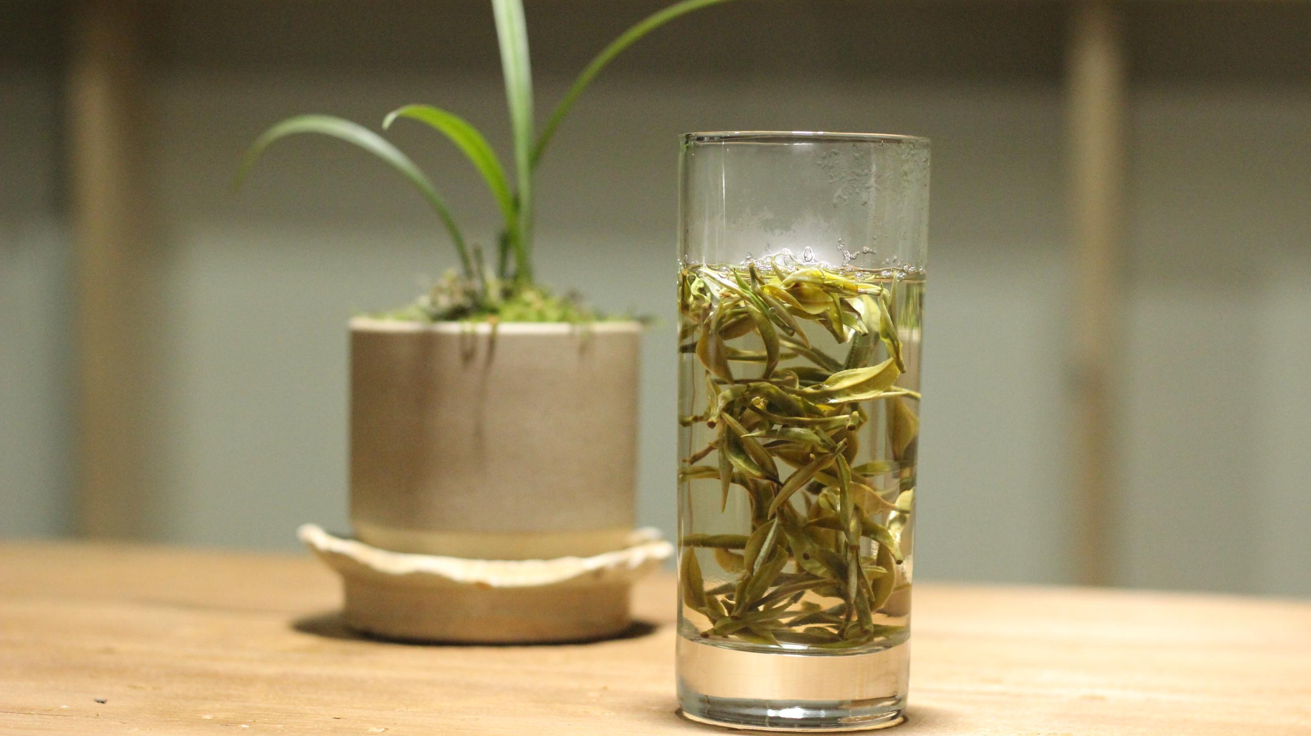 茶物语_茶物语_茶物语