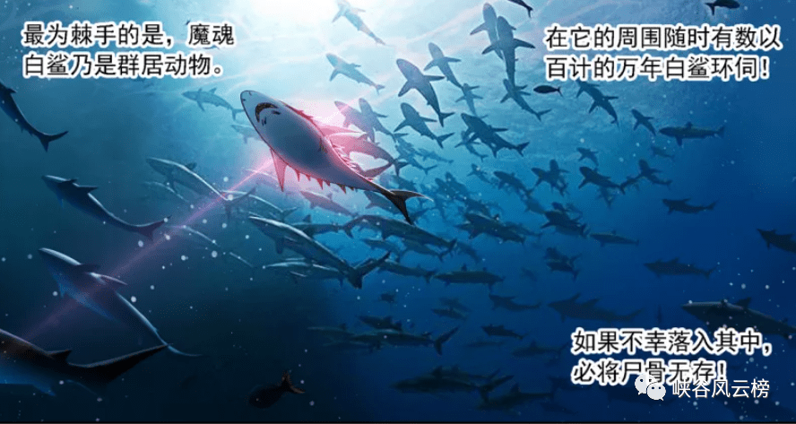 海魔女斗罗武魂_斗罗大陆海魔女斗罗_海魔女斗罗