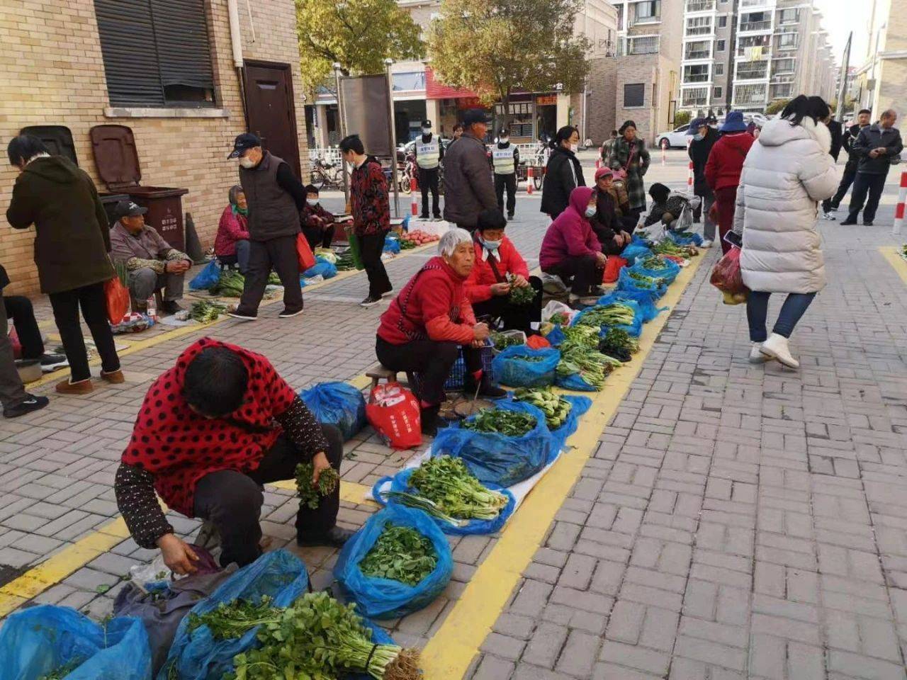 淘菜菜在哪里找_淘菜菜在哪里找_淘菜菜在哪里找
