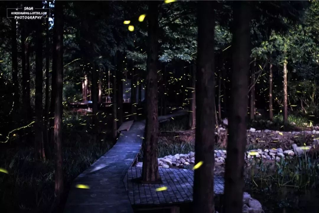 暗月兔子_暗月兔子掉落_暗月兔子怎么打