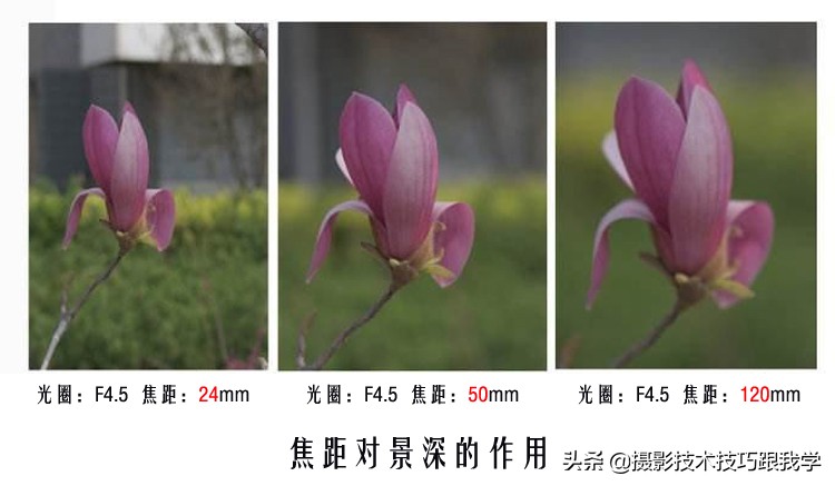 醒图的虚化_醒图虚化功能在哪里_醒图怎么虚化背景