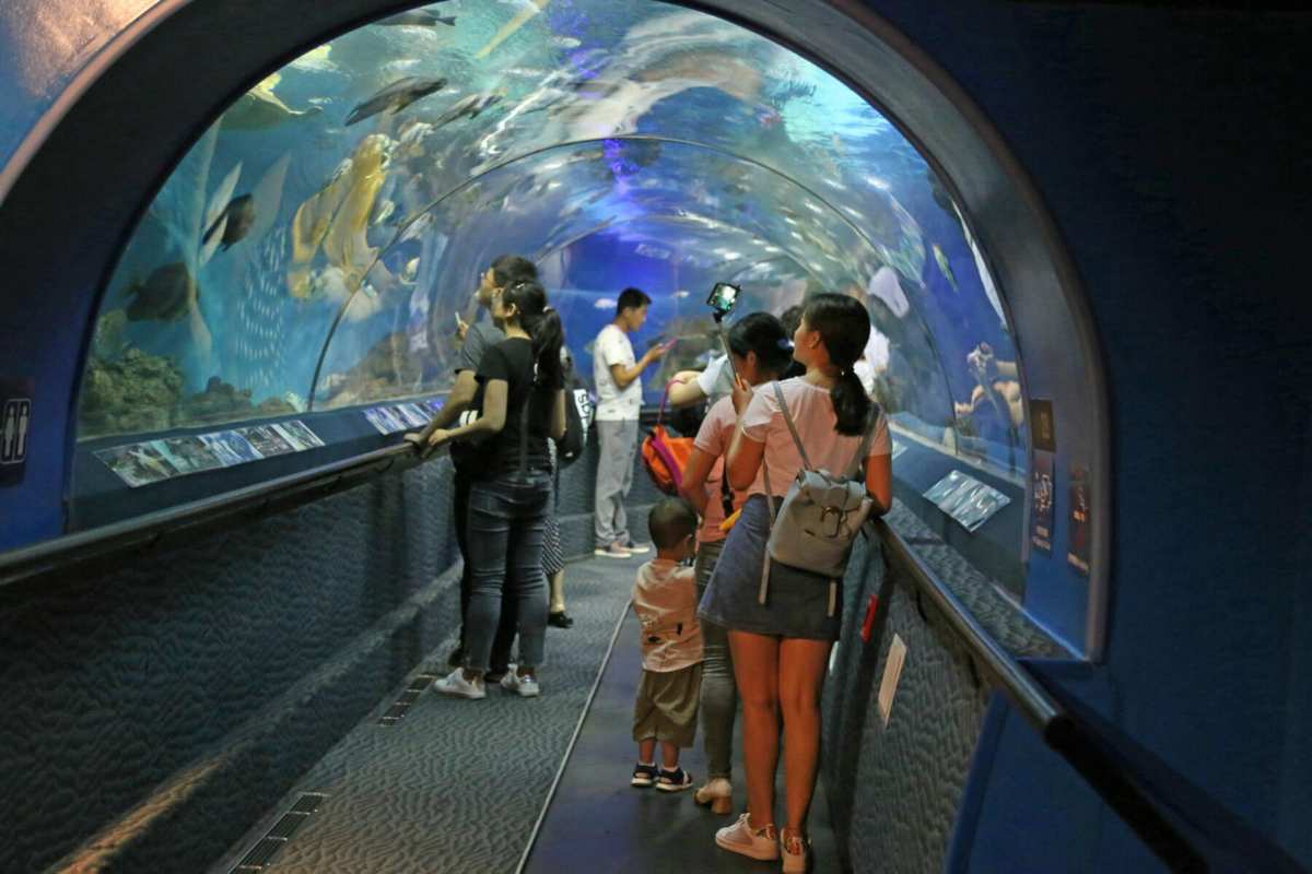 水族馆游戏_水族游戏_好玩的水族馆游戏