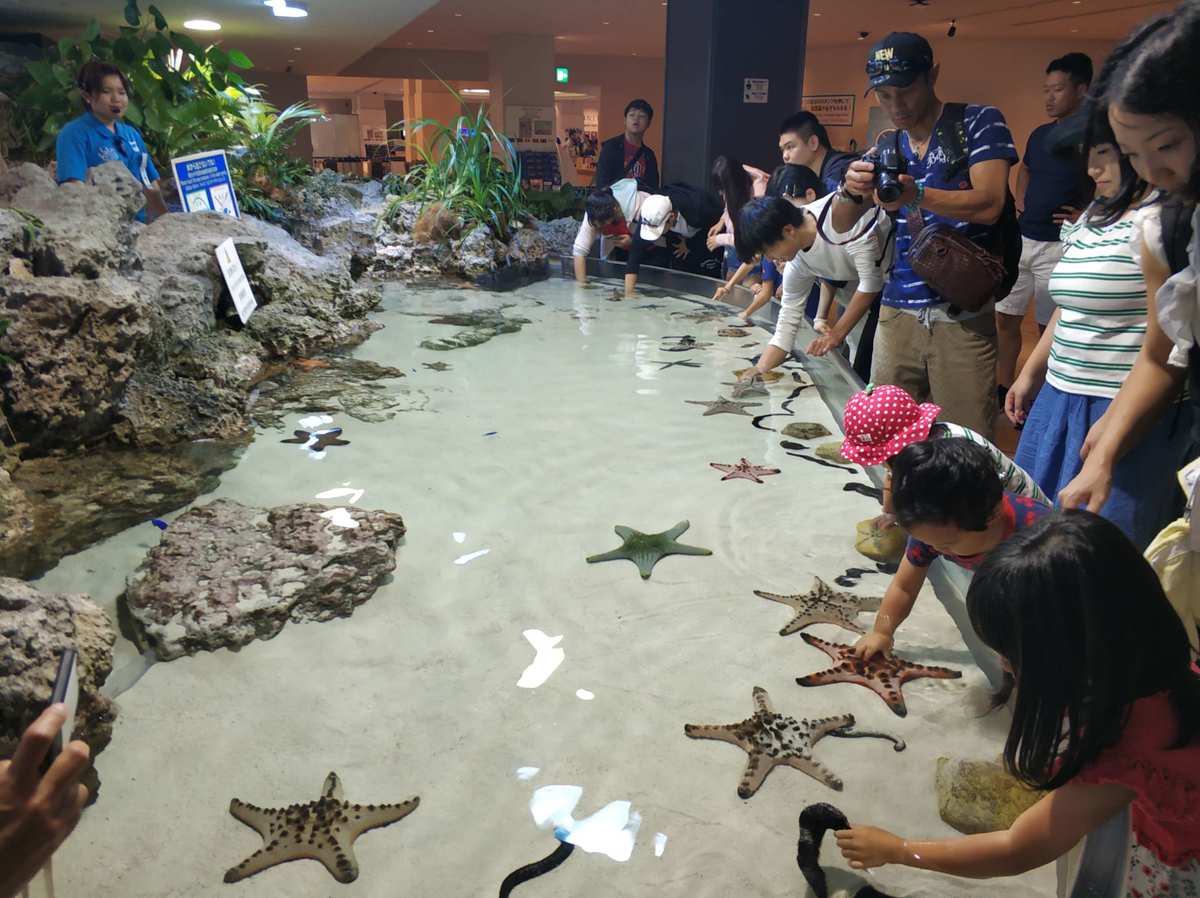 水族馆游戏_好玩的水族馆游戏_水族游戏