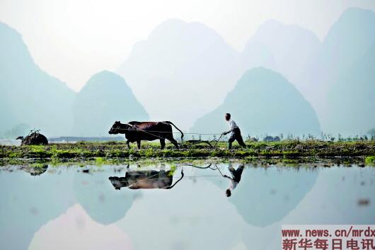 刘看山是谁_刘看山_刘看山头像