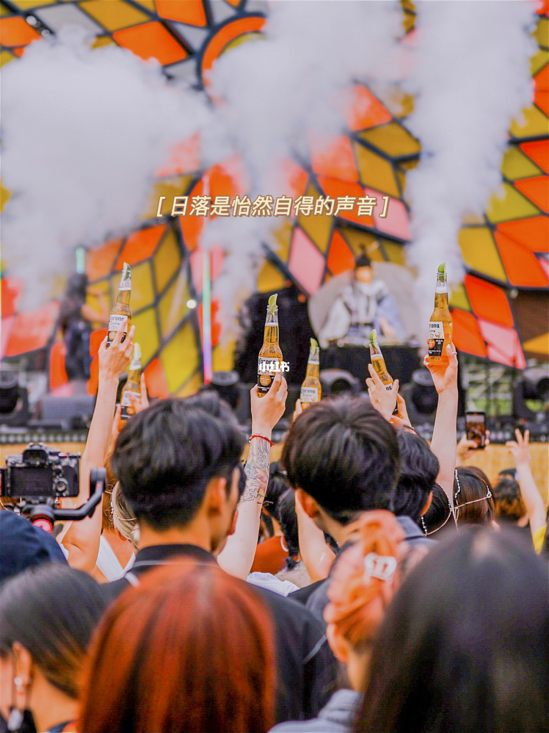 仙度瑞拉月季图片_仙度瑞拉月季的优缺点_仙那度