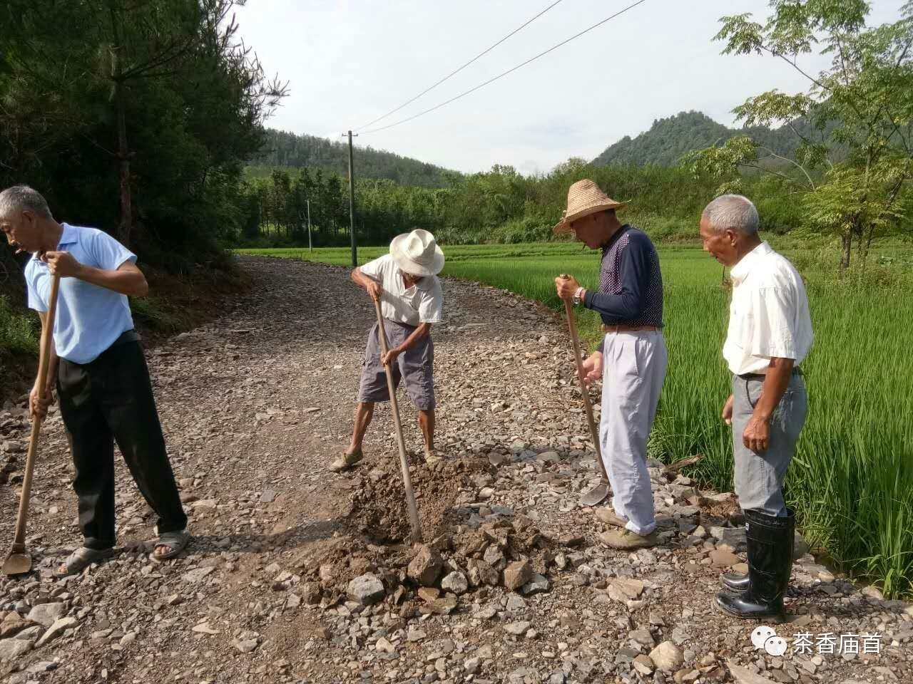 无雨的云_风中有朵雨做的云无删减完整版_无雨的云是什么意思