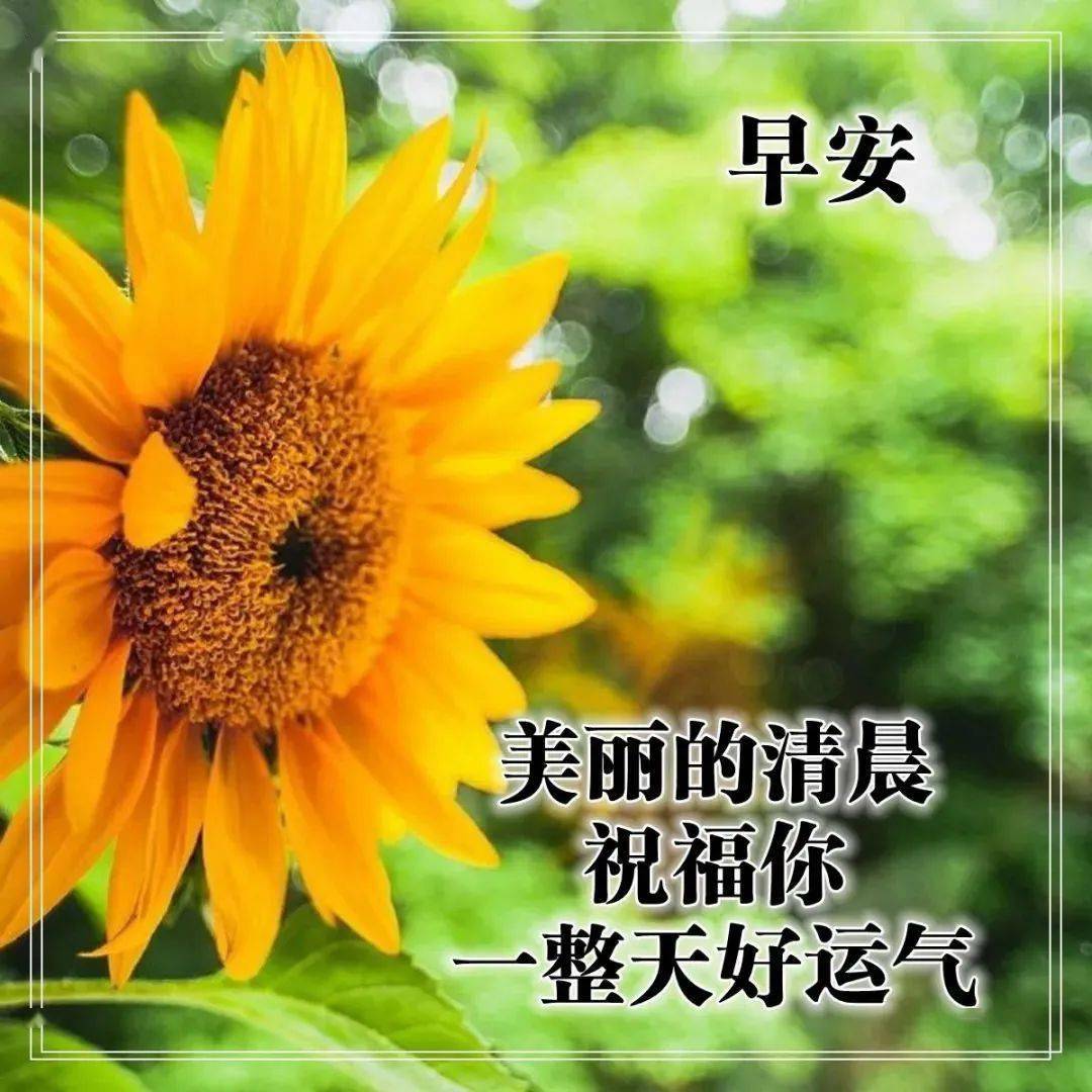塔纳托斯_托斯塔纳天堂想表达什么意思_托斯塔纳意大利