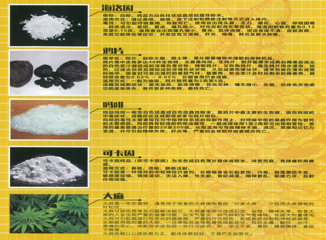 国际禁毒日是每年的哪一天_国际的禁毒日是每年的多少_国际禁毒日是每年的一天