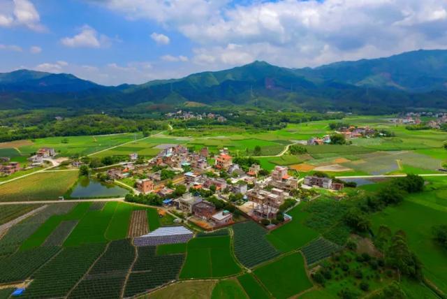 跨区卷_跨区卷_跨区卷