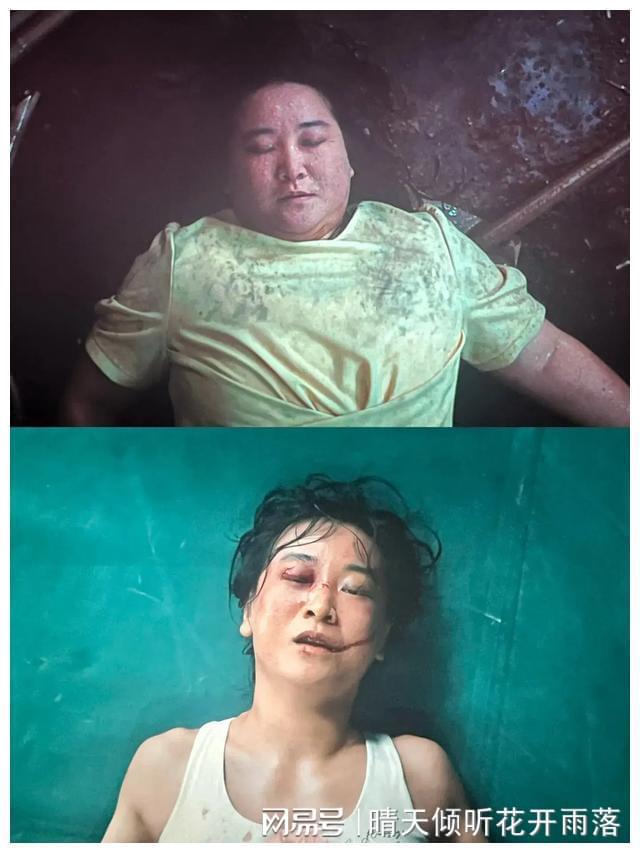 秘密访客电影_访客的秘密_秘密访客亏本