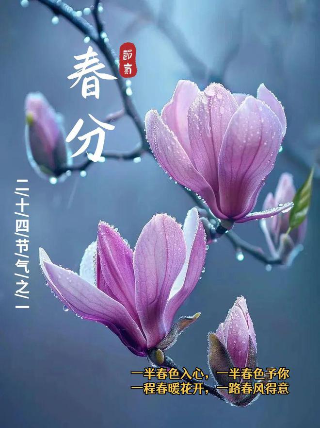 倒福_福宝抵达成都_福彩3D