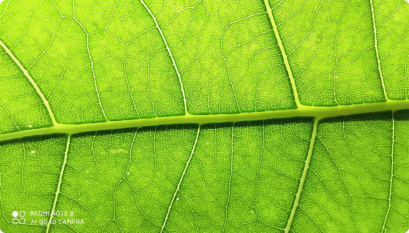 求推荐手游大作_推荐手机游戏排行榜_推荐游戏手机大作