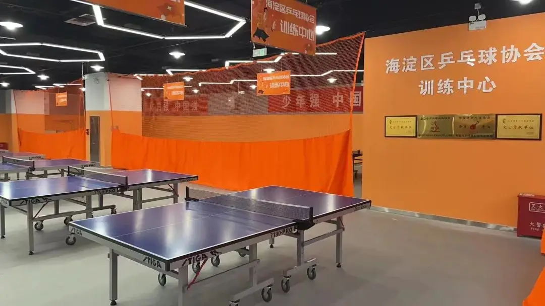 适合托班孩子的游戏_托班手机游戏教案_托班游戏手机