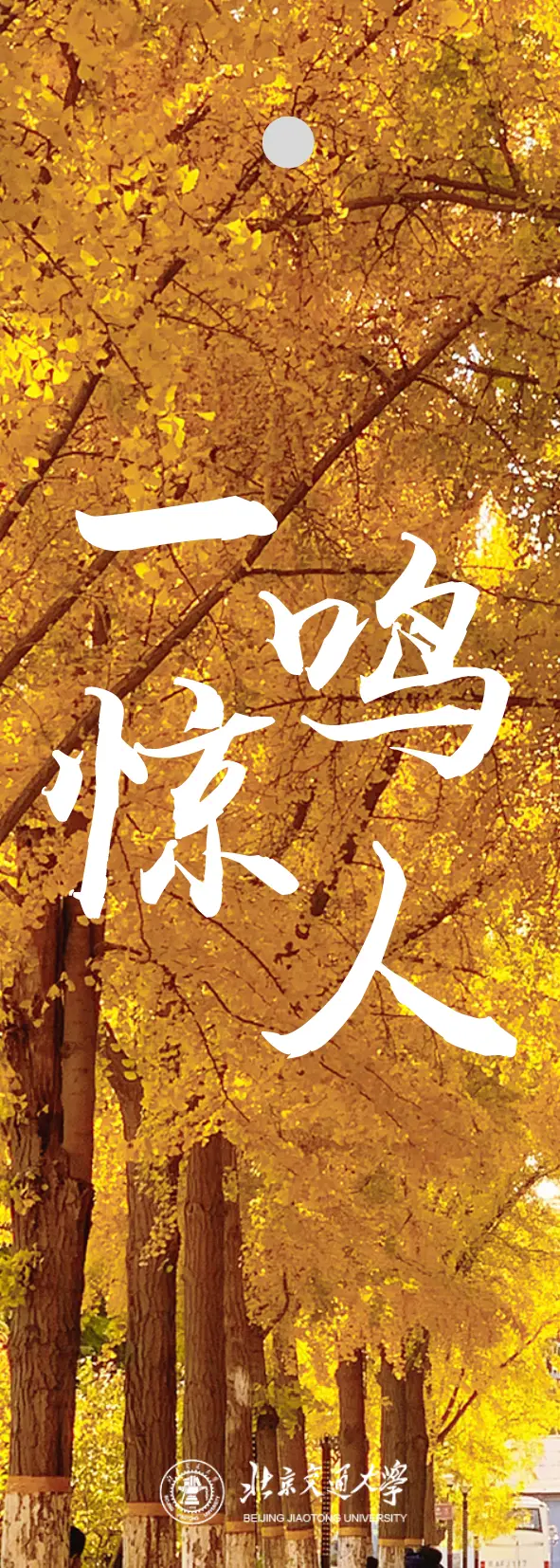 今年多大年纪啦_请问今年多大了_75年的今年多大了