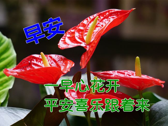 妮妮鬼故事_乖孩子妮妮_妮妮