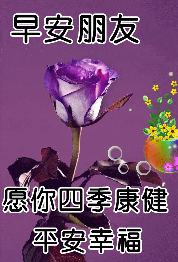绫音_绫音是霞的妹妹吗_佐仓绫音改名东山绫音