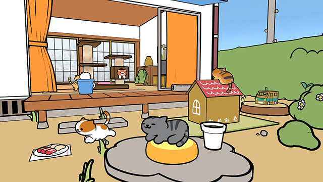养猫游戏软件_最新养猫游戏_养个猫手机版游戏