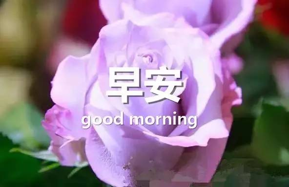 唤醒语言手机游戏用什么软件_用语言唤醒的手机游戏_唤醒语言手机游戏用什么设备