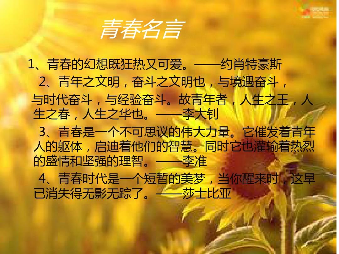 1999战记_山狗1999_1999