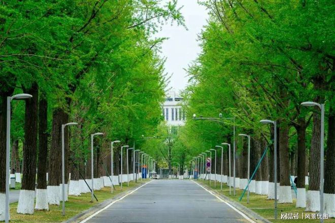 大全苹果图片手机壁纸高清_苹果大全大图_苹果手机13图片大全