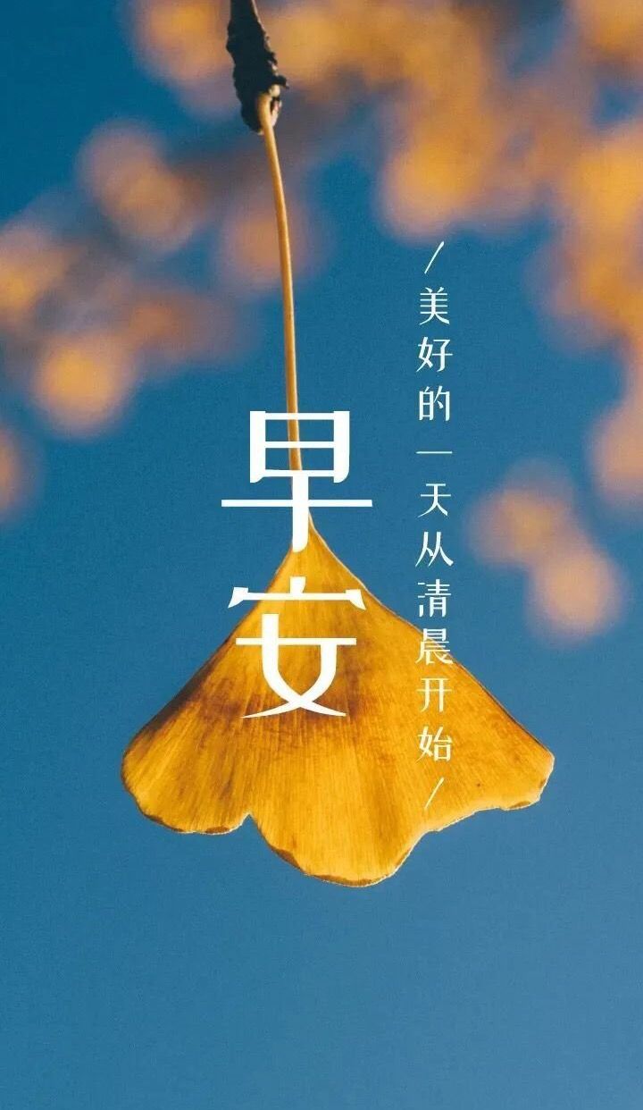 小宫果穗_果宫什么意思_小果穗属