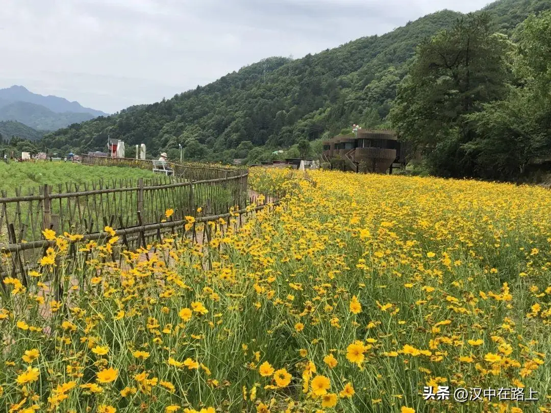 岛村侑配音_岛村_岛村实业